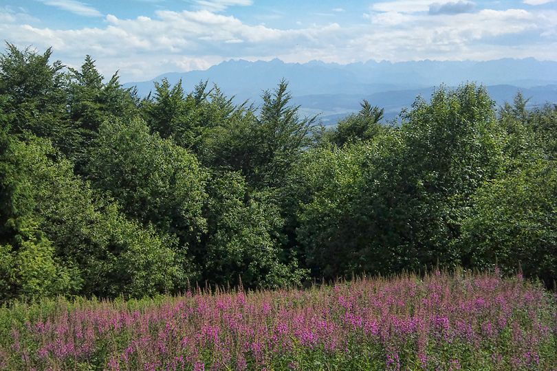 rowerowe enduro na Luba - trasa MTB