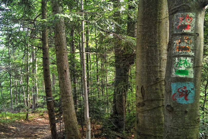 oznaczenia lokalnych tras MTB w okolicy szczytu Gronika na Luba - trasa MTB