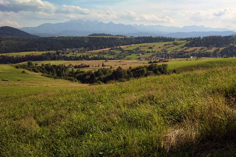 wylot z lasu i znw Tatry wycieczka rowerowa na Luba