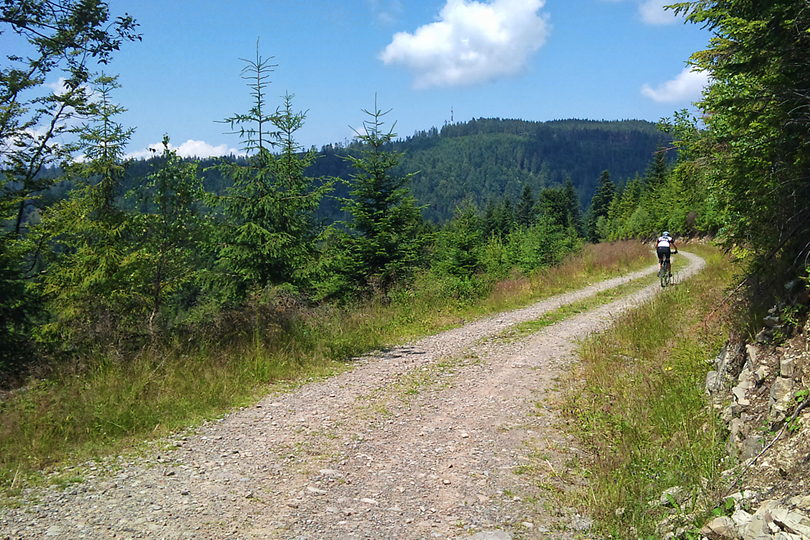 na horyzoncie wida przekanik na Przehybie Pasmo Radziejowej - trasa rowerowa MTB