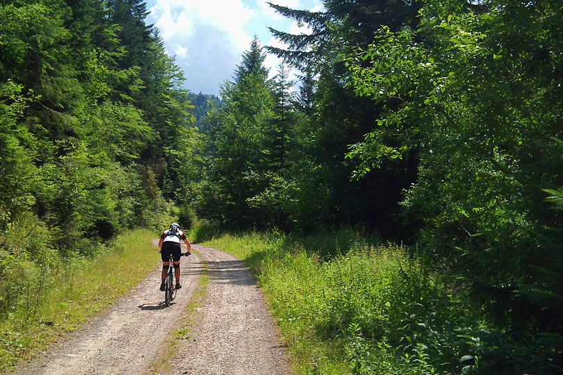 dolin Starego Potoku kontynuujemy zjazd do Szczawnicy trasa rowerowa na Pasmo Radziejowej
