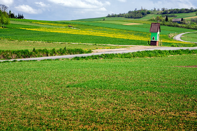 Kapliczka na Kobylnicy Zachodniej Kobylnica Zachodnia, Pogrze Ronowskie - trasa rowerowa