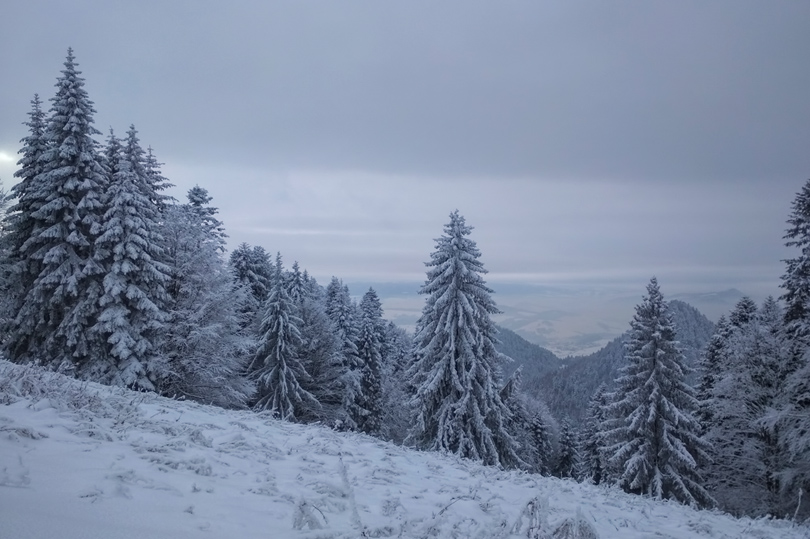 Rowerem po górach - przewodnik rowerowy po beskidach 2021 Beskid Sądecki nie tylko na rowerze